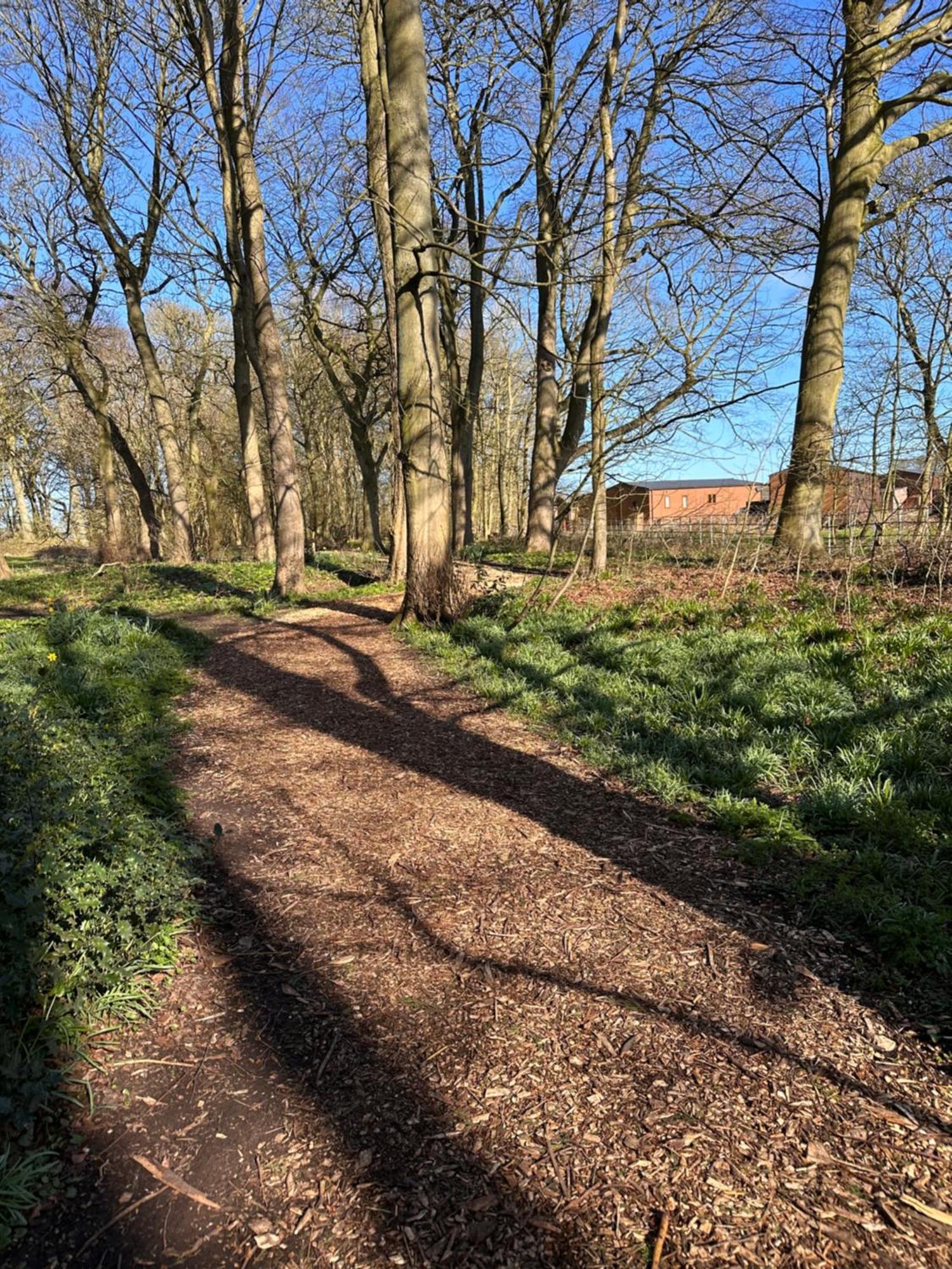 Max'S Woodland Lodge Bridlington Bagian luar foto