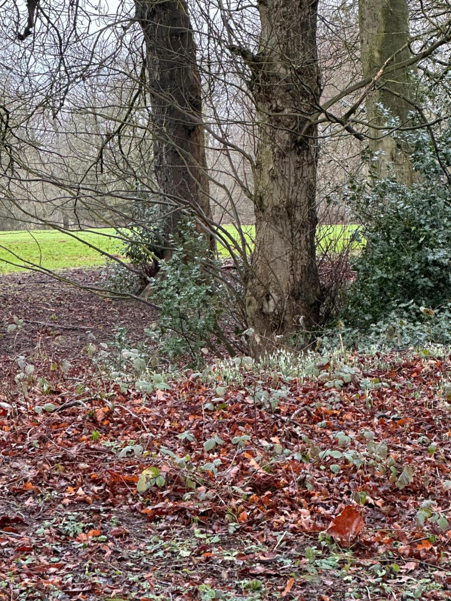 Max'S Woodland Lodge Bridlington Bagian luar foto